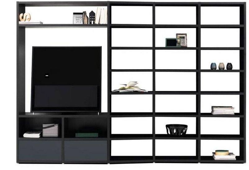 TV reol system