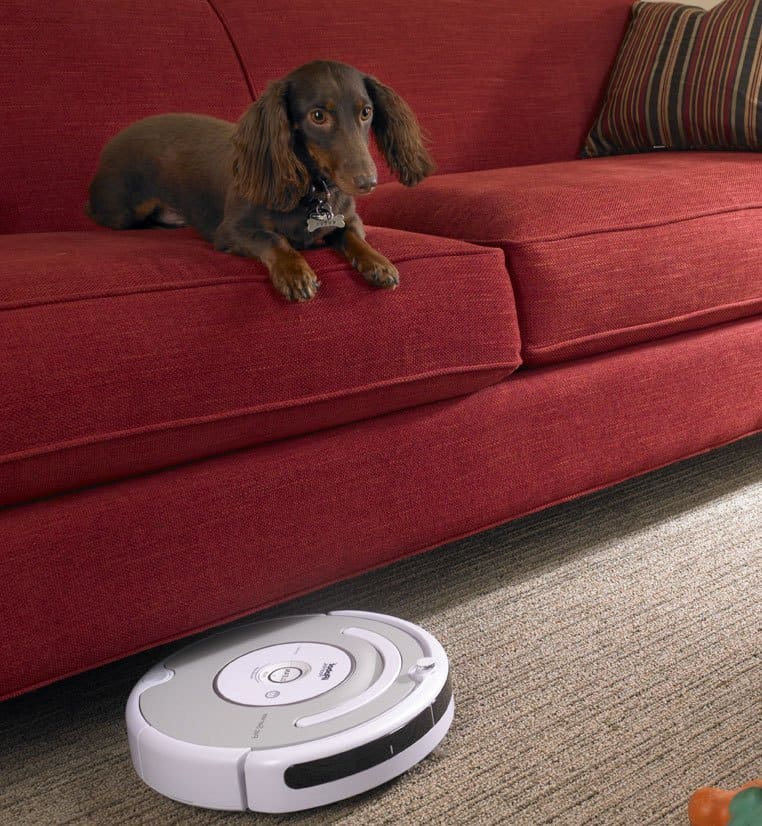 Robotstøvsugeren suger hundehår op Hund på sofa med robotstøvsuger