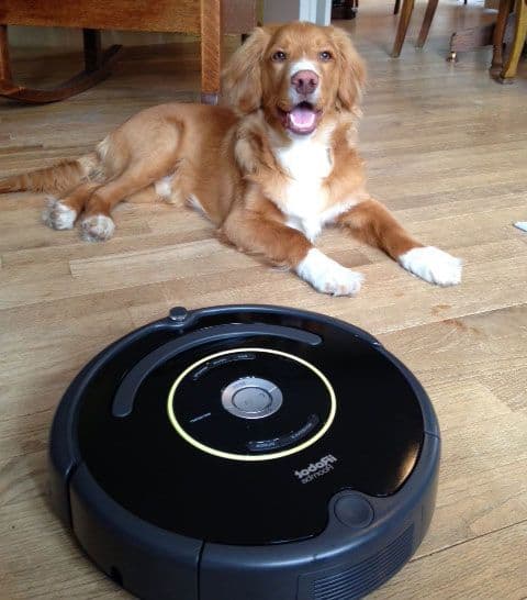 Roomba robotstøvsuger og hundehår