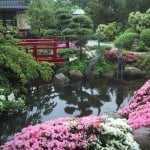 Den Japanske Have