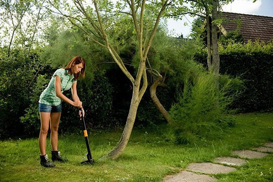 Fjerne mælkebøtter med Fiskars Fjerne mælkebøtter med Fiskars