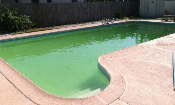groen-pool