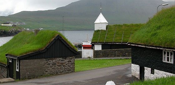 Grønt tag Grønt tag