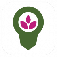 growit app