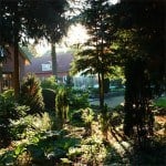 Holmstrup planteskole