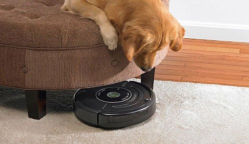 Roomba og hundehår Robotstøvsuger og hundehår
