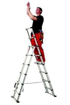 Teleskopstige Teleskopstige
