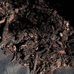 ukrudtsdug bark